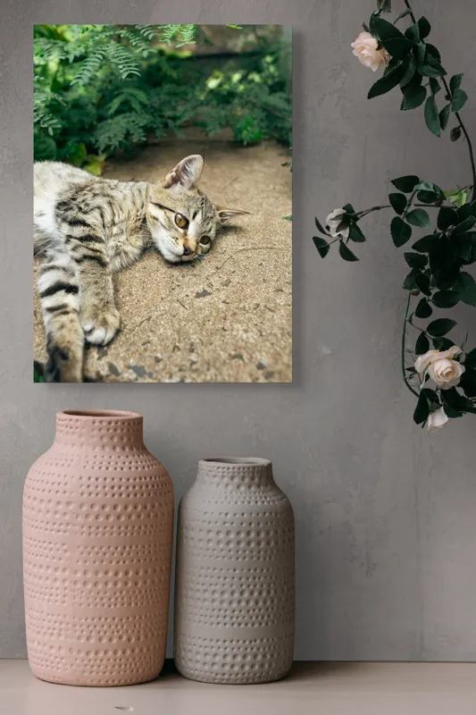 Tablou Canvas, "Timp de odihnă pentru pisică", Pisică, Relaxată, Blană, Verdeață, Pardoseală, Ochișori, Urechi, Ștrengărie, Ghemuită, Odihnă, 39 x 54 cm – poza 6