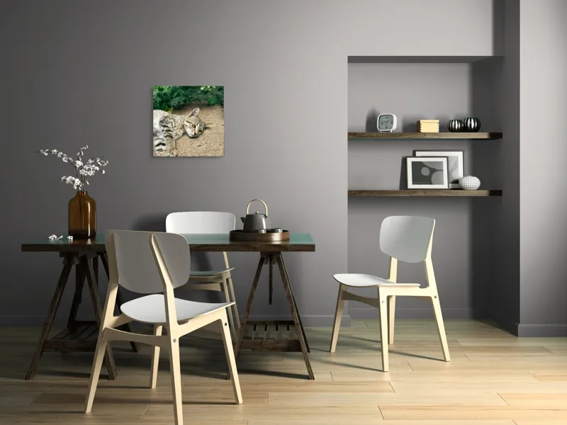 Tablou Canvas, "Timp de odihnă pentru pisică", Pisică, Relaxată, Blană, Verdeață, Pardoseală, Ochișori, Urechi, Ștrengărie, Ghemuită, Odihnă, 50 x 50 cm – poza 8