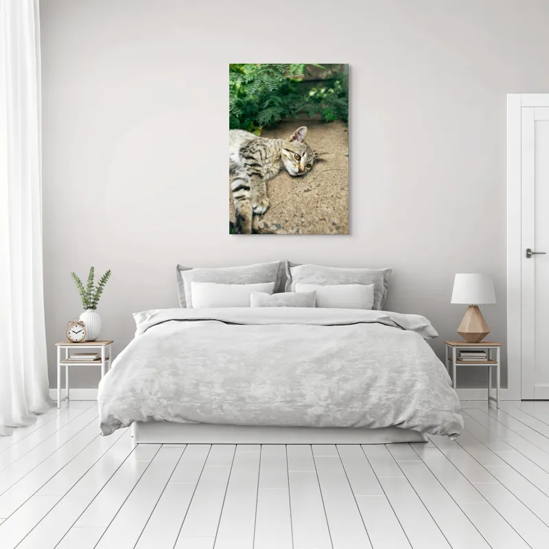 Tablou Canvas, "Timp de odihnă pentru pisică", Pisică, Relaxată, Blană, Verdeață, Pardoseală, Ochișori, Urechi, Ștrengărie, Ghemuită, Odihnă, 70 x 100 cm – poza 3