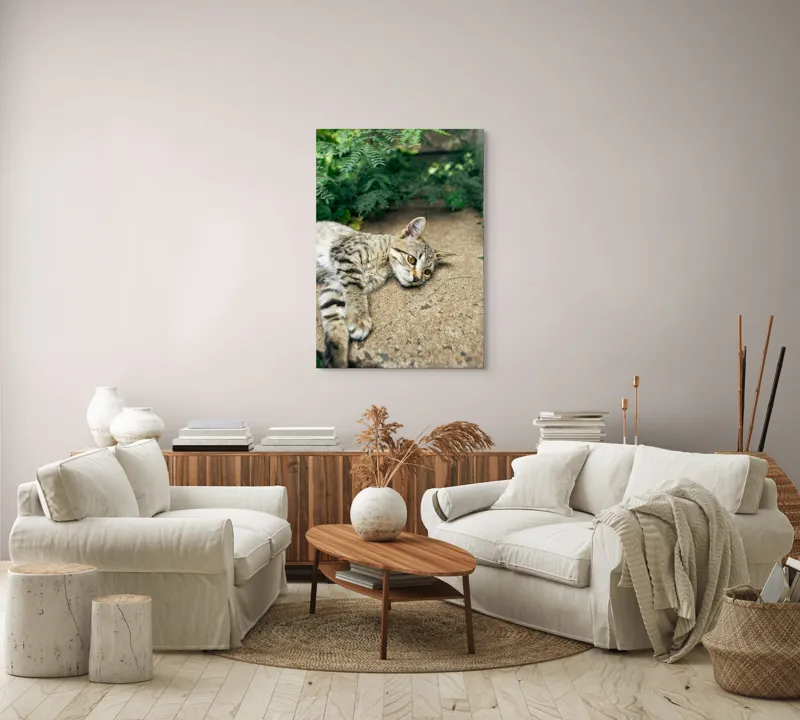 Tablou Canvas, "Timp de odihnă pentru pisică", Pisică, Relaxată, Blană, Verdeață, Pardoseală, Ochișori, Urechi, Ștrengărie, Ghemuită, Odihnă, 70 x 100 cm – poza 4