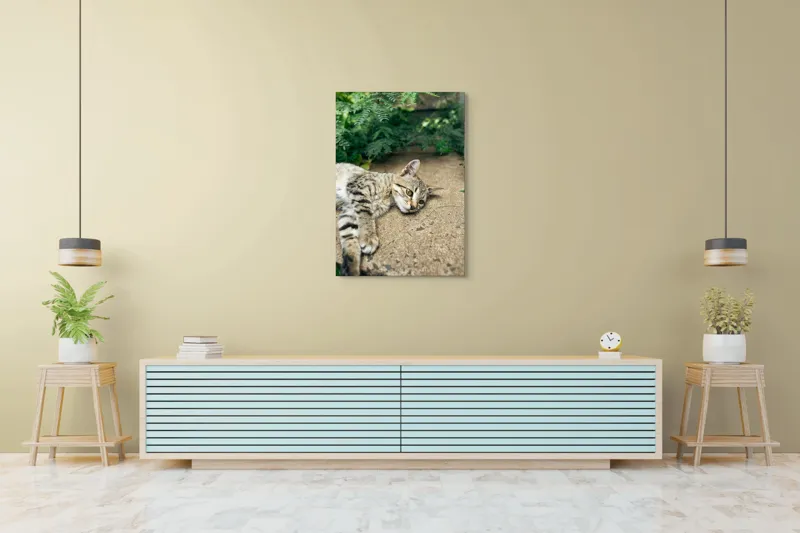 Tablou Canvas, "Timp de odihnă pentru pisică", Pisică, Relaxată, Blană, Verdeață, Pardoseală, Ochișori, Urechi, Ștrengărie, Ghemuită, Odihnă, 70 x 100 cm – poza 5