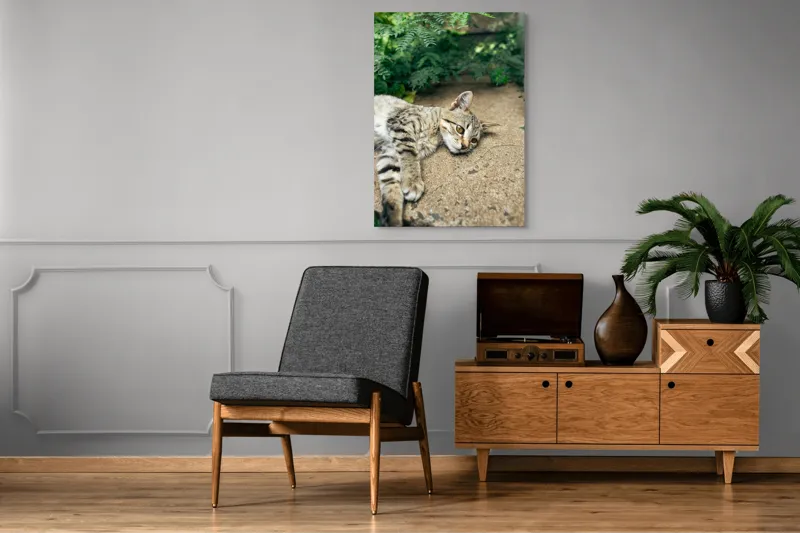 Tablou Canvas, "Timp de odihnă pentru pisică", Pisică, Relaxată, Blană, Verdeață, Pardoseală, Ochișori, Urechi, Ștrengărie, Ghemuită, Odihnă, 70 x 100 cm – poza 6