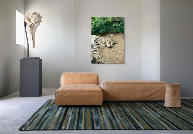 Tablou Canvas, "Timp de odihnă pentru pisică", Pisică, Relaxată, Blană, Verdeață, Pardoseală, Ochișori, Urechi, Ștrengărie, Ghemuită, Odihnă, 70 x 100 cm – poza 7