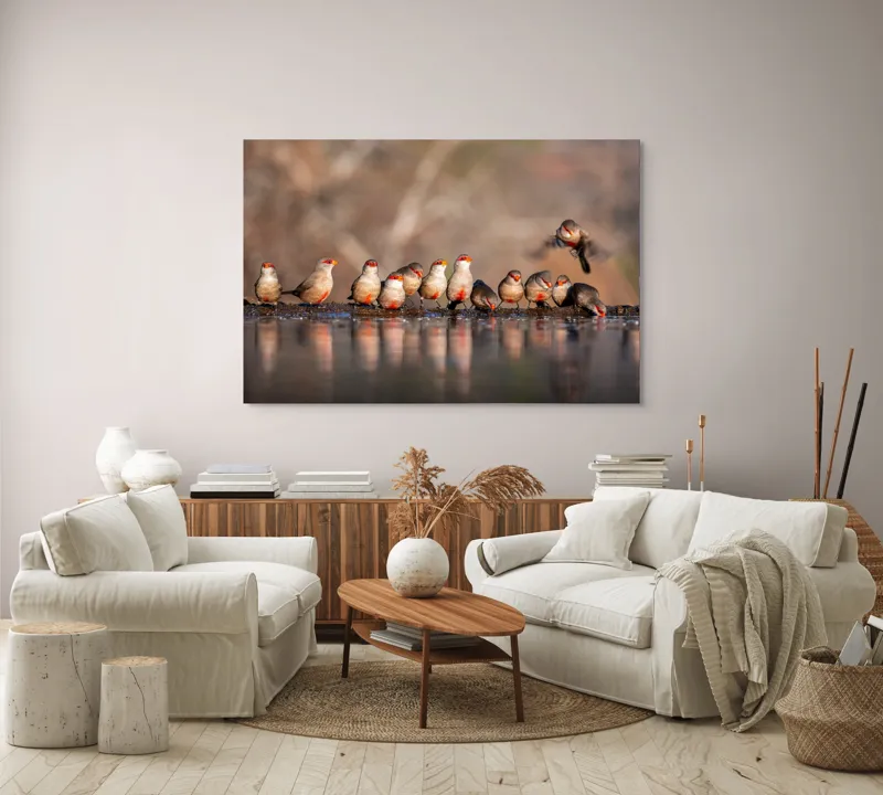 Tablou Canvas, "Rândunici pe marginea apei lucii", Păsări, Reflexie, Apă, Zbor, Grup, Natură, Rojii., 150 x 100 cm – poza 3