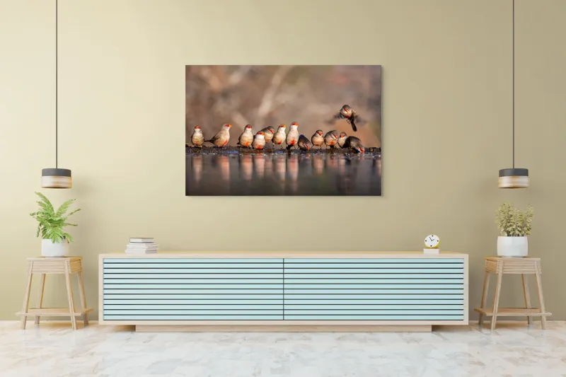 Tablou Canvas, "Rândunici pe marginea apei lucii", Păsări, Reflexie, Apă, Zbor, Grup, Natură, Rojii., 150 x 100 cm – poza 6