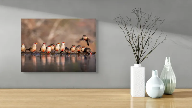 Tablou Canvas, "Rândunici pe marginea apei lucii", Păsări, Reflexie, Apă, Zbor, Grup, Natură, Rojii., 54 x 39 cm – poza 3