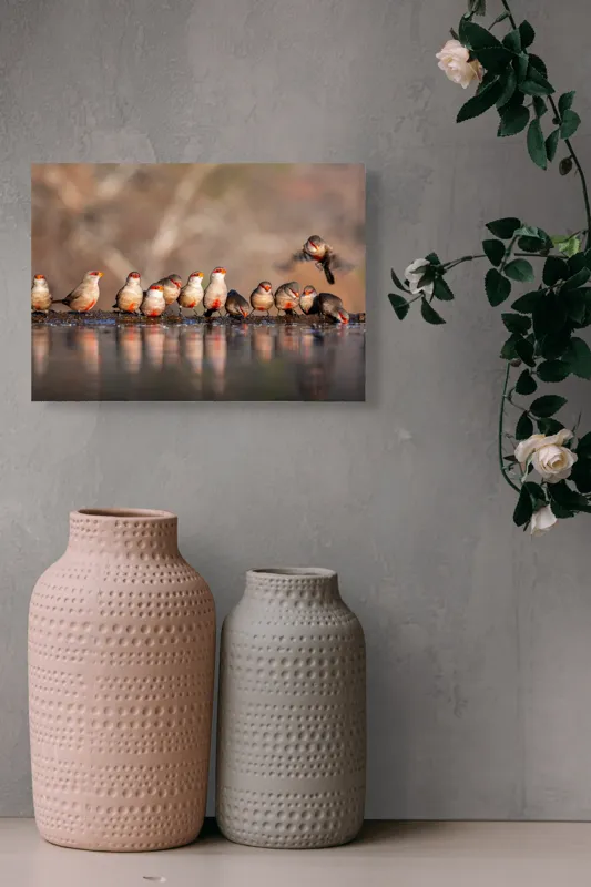 Tablou Canvas, "Rândunici pe marginea apei lucii", Păsări, Reflexie, Apă, Zbor, Grup, Natură, Rojii., 54 x 39 cm – poza 8