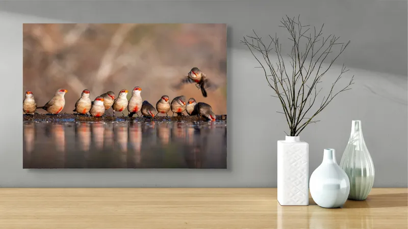 Tablou Canvas, "Rândunici pe marginea apei lucii", Păsări, Reflexie, Apă, Zbor, Grup, Natură, Rojii., 70 x 50 cm – poza 3
