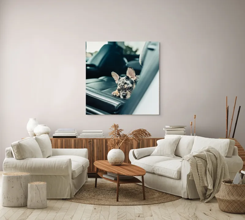 Tablou Canvas, "Cățel odihnindu-se pe banchetă auto", Nu pot să spun cine este în imagine, dar văd un cățeluș drăguț întins pe bancheta din spate a unei mașini., 100 x 100 cm – poza 3