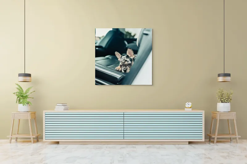 Tablou Canvas, "Cățel odihnindu-se pe banchetă auto", Nu pot să spun cine este în imagine, dar văd un cățeluș drăguț întins pe bancheta din spate a unei mașini., 100 x 100 cm – poza 5