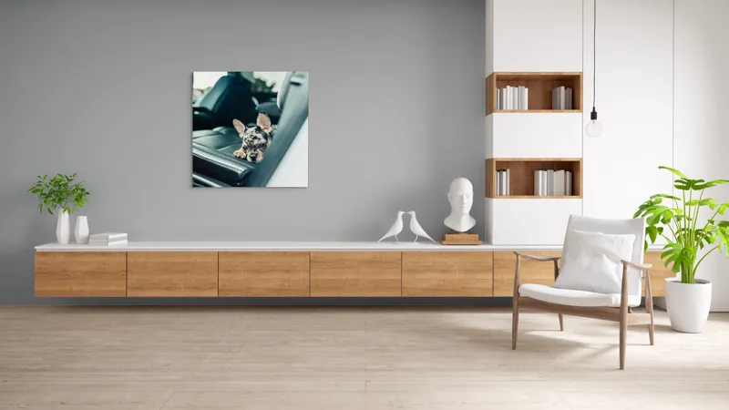 Tablou Canvas, "Cățel odihnindu-se pe banchetă auto", Nu pot să spun cine este în imagine, dar văd un cățeluș drăguț întins pe bancheta din spate a unei mașini., 100 x 100 cm – poza 8
