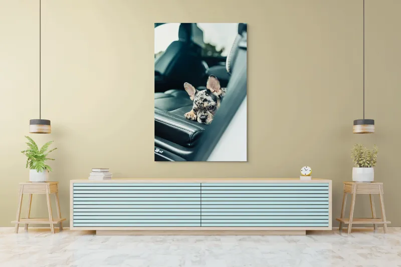 Tablou Canvas, "Cățel odihnindu-se pe banchetă auto", Nu pot să spun cine este în imagine, dar văd un cățeluș drăguț întins pe bancheta din spate a unei mașini., 100 x 150 cm – poza 4