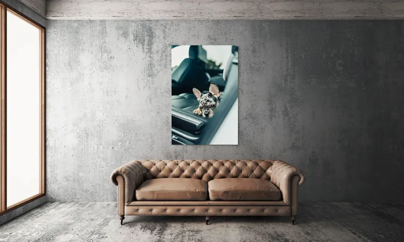 Tablou Canvas, "Cățel odihnindu-se pe banchetă auto", Nu pot să spun cine este în imagine, dar văd un cățeluș drăguț întins pe bancheta din spate a unei mașini., 100 x 150 cm – poza 6