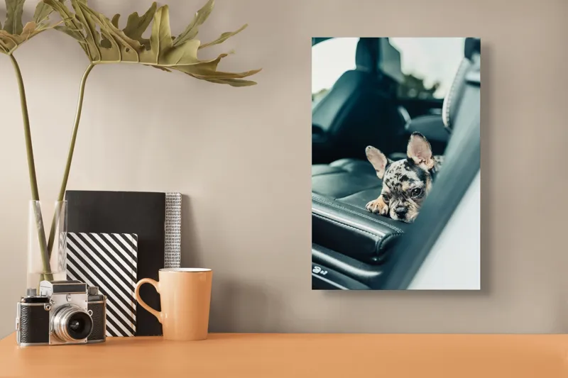 Tablou Canvas, "Cățel odihnindu-se pe banchetă auto", 26 x 39 cm – poza 3