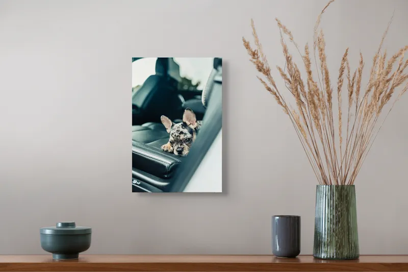 Tablou Canvas, "Cățel odihnindu-se pe banchetă auto", 26 x 39 cm – poza 5