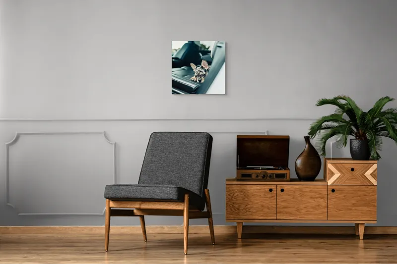 Tablou Canvas, "Cățel odihnindu-se pe banchetă auto", 50 x 50 cm – poza 6