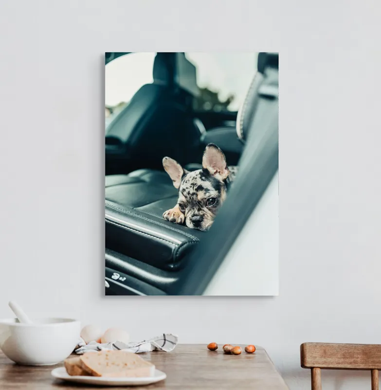 Tablou Canvas, "Cățel odihnindu-se pe banchetă auto", Nu pot să spun cine este în imagine, dar văd un cățeluș drăguț întins pe bancheta din spate a unei mașini., 50 x 70 cm – poza 3