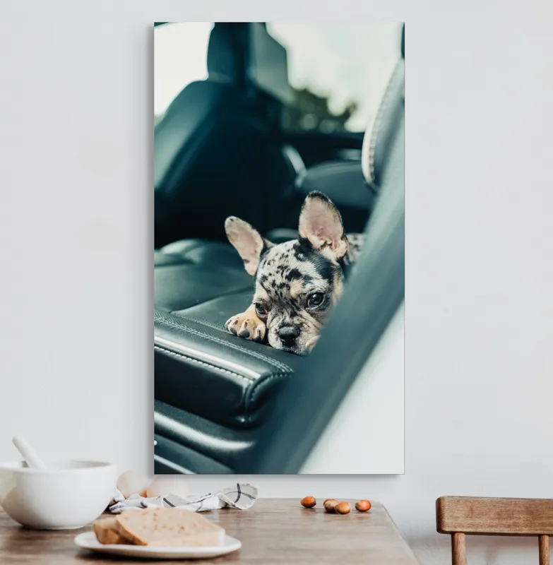 Tablou Canvas, "Cățel odihnindu-se pe banchetă auto", Nu pot să spun cine este în imagine, dar văd un cățeluș drăguț întins pe bancheta din spate a unei mașini., 50 x 90 cm – poza 3