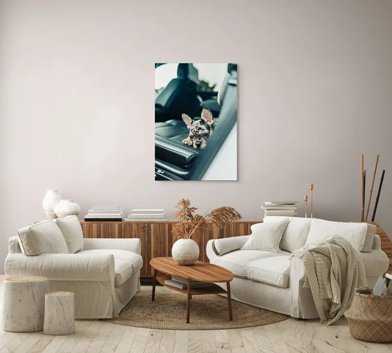 Tablou Canvas, "Cățel odihnindu-se pe banchetă auto", 70 x 100 cm – poza 4
