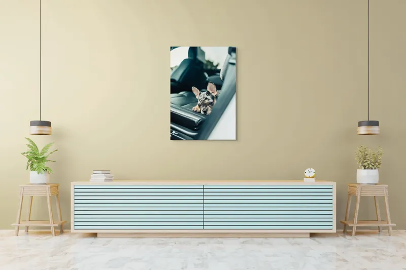 Tablou Canvas, "Cățel odihnindu-se pe banchetă auto", 70 x 100 cm – poza 5