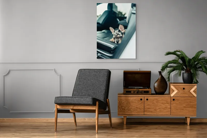 Tablou Canvas, "Cățel odihnindu-se pe banchetă auto", 70 x 100 cm – poza 6