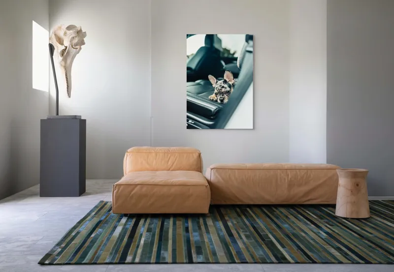 Tablou Canvas, "Cățel odihnindu-se pe banchetă auto", 70 x 100 cm – poza 7