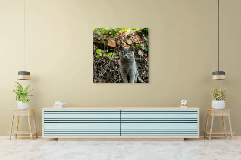 Tablou Canvas, "Pisica gri în pădurea de vară", Pisică, Gri, Ochi, Portocalii, Natură, Frunze, Tulpini, Lemn, Fundal, Blană, 100 x 100 cm – poza 5