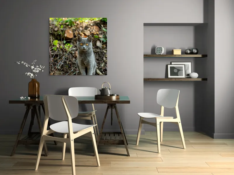 Tablou Canvas, "Pisica gri în pădurea de vară", Pisică, Gri, Ochi, Portocalii, Natură, Frunze, Tulpini, Lemn, Fundal, Blană, 100 x 100 cm – poza 6