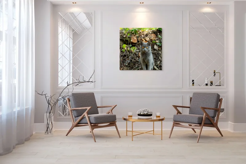 Tablou Canvas, "Pisica gri în pădurea de vară", Pisică, Gri, Ochi, Portocalii, Natură, Frunze, Tulpini, Lemn, Fundal, Blană, 100 x 100 cm – poza 7