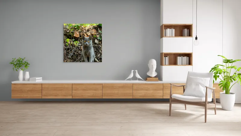 Tablou Canvas, "Pisica gri în pădurea de vară", Pisică, Gri, Ochi, Portocalii, Natură, Frunze, Tulpini, Lemn, Fundal, Blană, 100 x 100 cm – poza 8