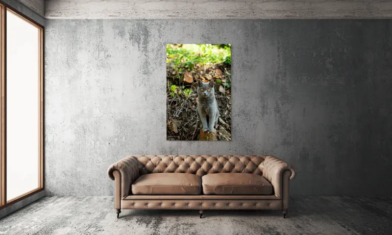 Tablou Canvas, "Pisica gri în pădurea de vară", Pisică, Gri, Ochi, Portocalii, Natură, Frunze, Tulpini, Lemn, Fundal, Blană, 100 x 150 cm – poza 6