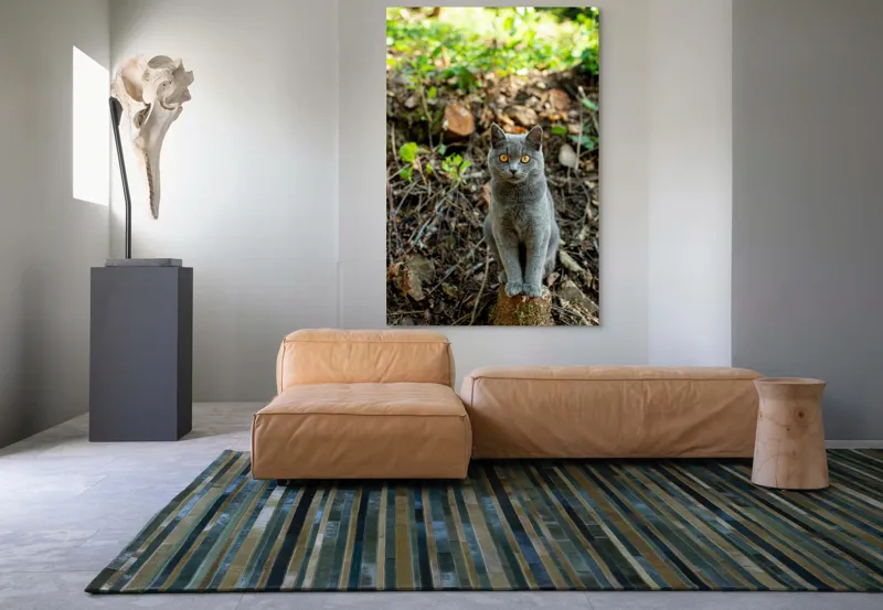 Tablou Canvas, "Pisica gri în pădurea de vară", Pisică, Gri, Ochi, Portocalii, Natură, Frunze, Tulpini, Lemn, Fundal, Blană, 100 x 150 cm – poza 7
