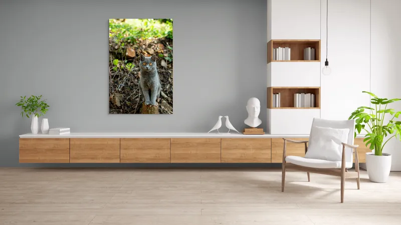 Tablou Canvas, "Pisica gri în pădurea de vară", Pisică, Gri, Ochi, Portocalii, Natură, Frunze, Tulpini, Lemn, Fundal, Blană, 100 x 150 cm – poza 8