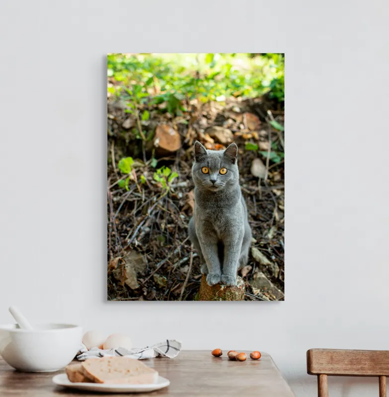 Tablou Canvas, "Pisica gri în pădurea de vară", Pisică, Gri, Ochi, Portocalii, Natură, Frunze, Tulpini, Lemn, Fundal, Blană, 50 x 70 cm – poza 3