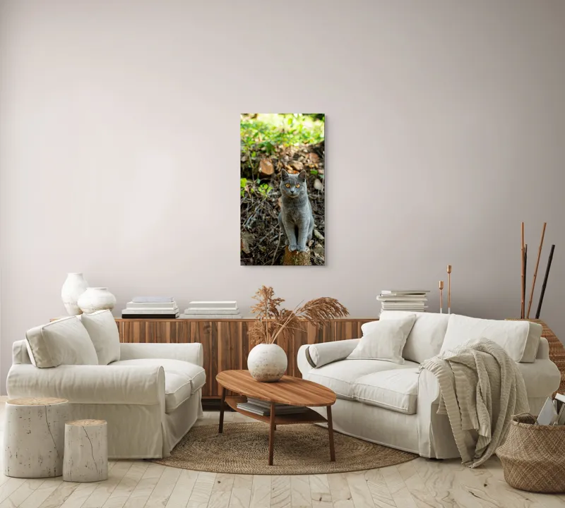 Tablou Canvas, "Pisica gri în pădurea de vară", Pisică, Gri, Ochi, Portocalii, Natură, Frunze, Tulpini, Lemn, Fundal, Blană, 50 x 90 cm – poza 7