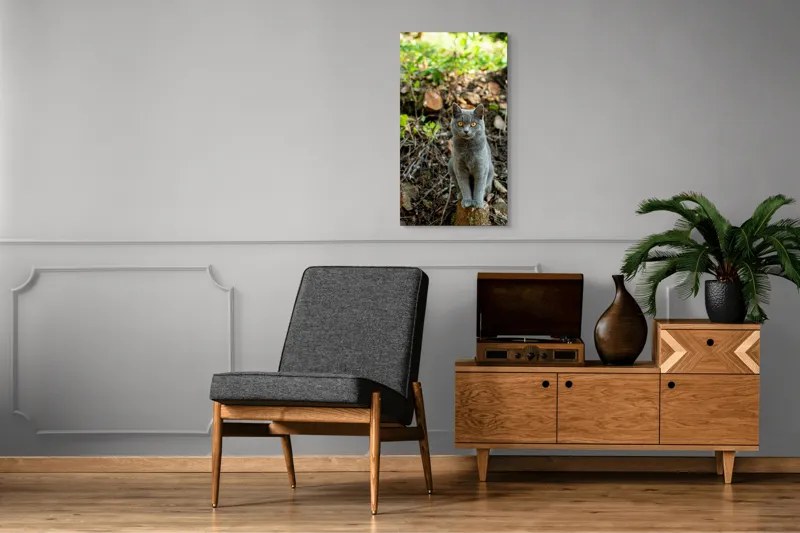 Tablou Canvas, "Pisica gri în pădurea de vară", Pisică, Gri, Ochi, Portocalii, Natură, Frunze, Tulpini, Lemn, Fundal, Blană, 50 x 90 cm – poza 8