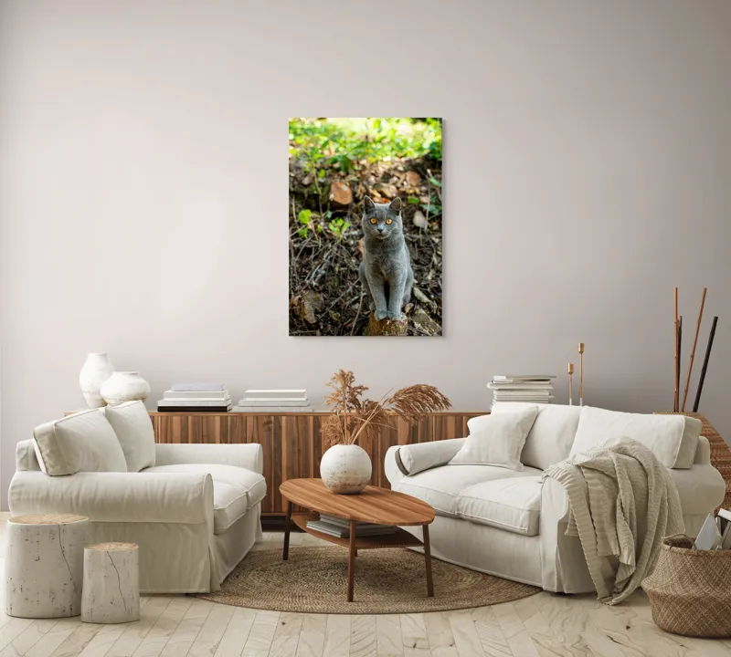 Tablou Canvas, "Pisica gri în pădurea de vară", Pisică, Gri, Ochi, Portocalii, Natură, Frunze, Tulpini, Lemn, Fundal, Blană, 70 x 100 cm – poza 4
