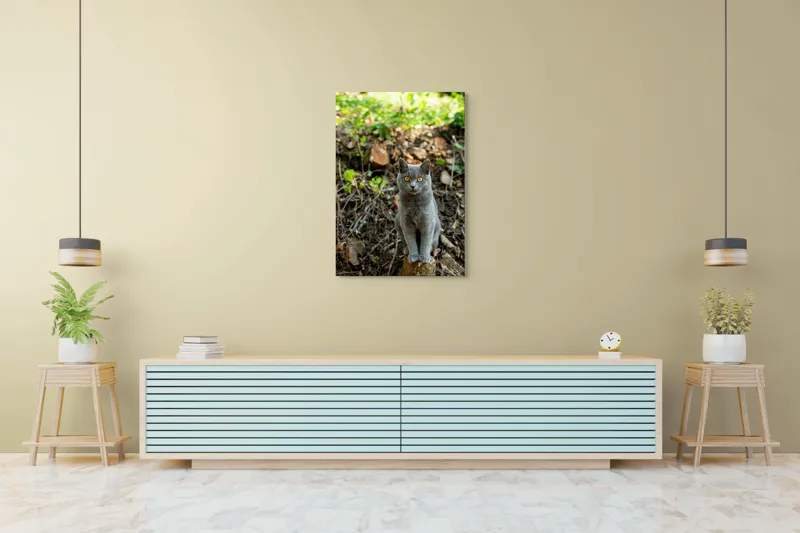 Tablou Canvas, "Pisica gri în pădurea de vară", Pisică, Gri, Ochi, Portocalii, Natură, Frunze, Tulpini, Lemn, Fundal, Blană, 70 x 100 cm – poza 5