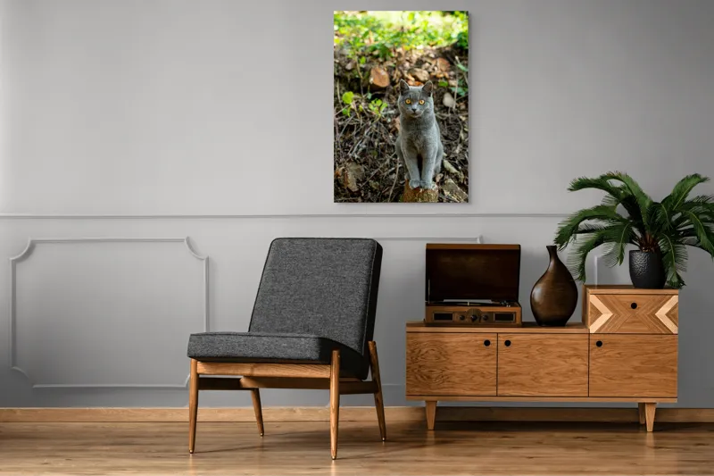 Tablou Canvas, "Pisica gri în pădurea de vară", Pisică, Gri, Ochi, Portocalii, Natură, Frunze, Tulpini, Lemn, Fundal, Blană, 70 x 100 cm – poza 6
