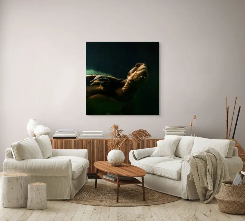 Tablou Canvas, "Broasca țestoasă în profunzimea apei", Tortură, Acvatic, Întuneric, Privire, Solitară, 100 x 100 cm – poza 3