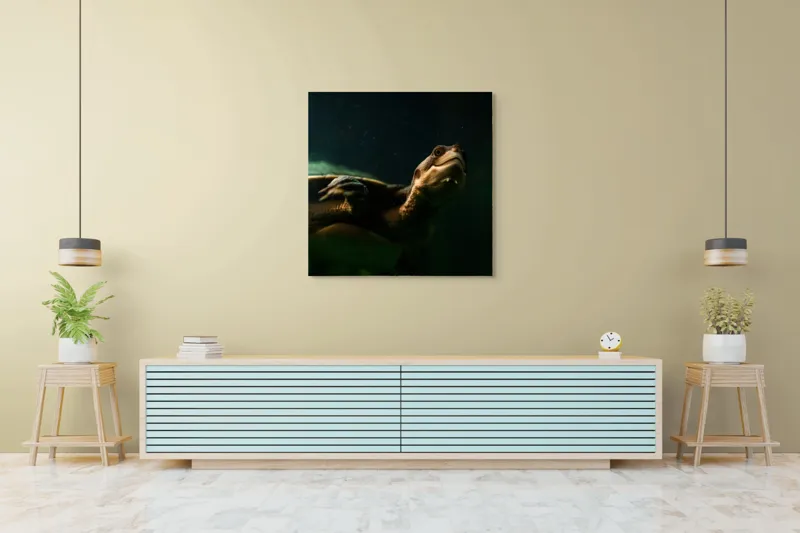 Tablou Canvas, "Broasca țestoasă în profunzimea apei", Tortură, Acvatic, Întuneric, Privire, Solitară, 100 x 100 cm – poza 5