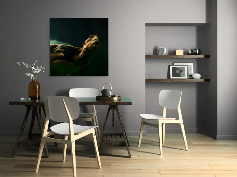 Tablou Canvas, "Broasca țestoasă în profunzimea apei", Tortură, Acvatic, Întuneric, Privire, Solitară, 100 x 100 cm – poza 6