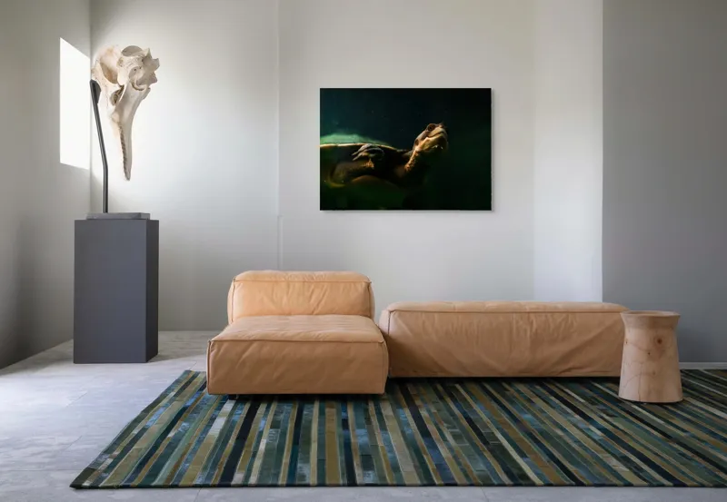 Tablou Canvas, "Broasca țestoasă în profunzimea apei", Tortură, Acvatic, Întuneric, Privire, Solitară, 100 x 70 cm – poza 7