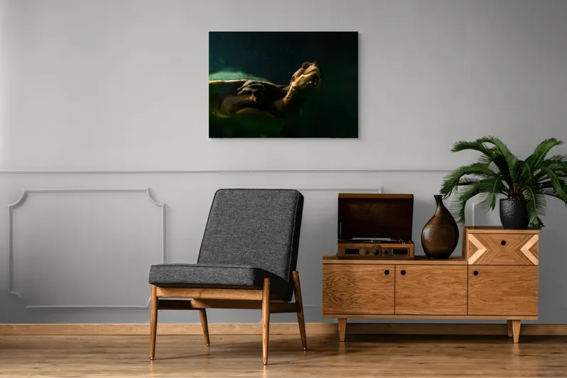 Tablou Canvas, "Broasca țestoasă în profunzimea apei", Tortură, Acvatic, Întuneric, Privire, Solitară, 100 x 70 cm – poza 8