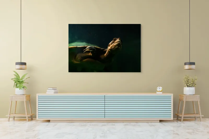 Tablou Canvas, "Broasca țestoasă în profunzimea apei", Tortură, Acvatic, Întuneric, Privire, Solitară, 150 x 100 cm – poza 6