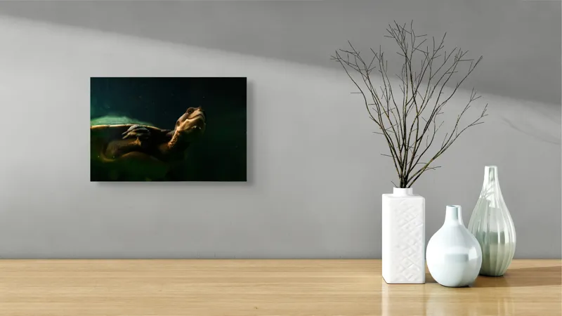 Tablou Canvas, "Broasca țestoasă în profunzimea apei", Tortură, Acvatic, Întuneric, Privire, Solitară, 39 x 26 cm – poza 8