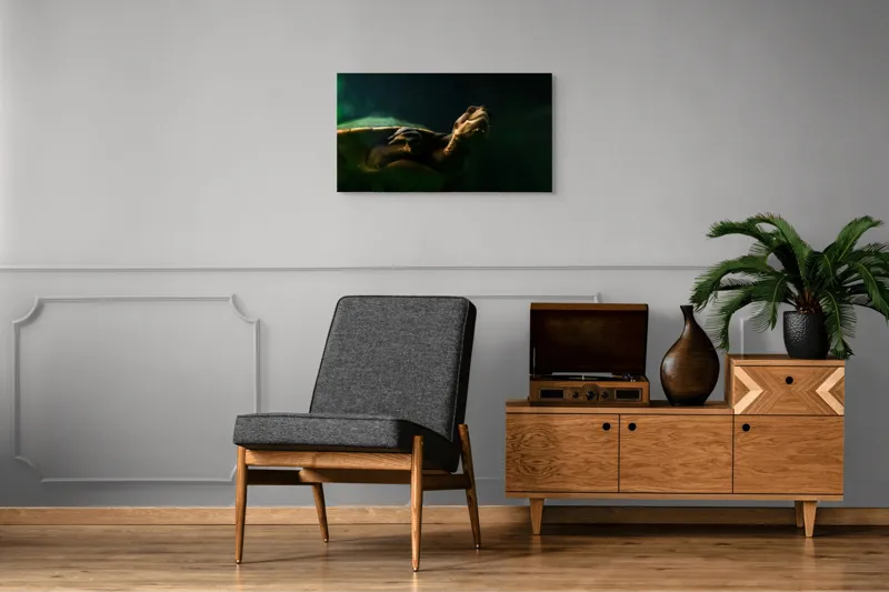 Tablou Canvas, "Broasca țestoasă în profunzimea apei", Tortură, Acvatic, Întuneric, Privire, Solitară, 90 x 50 cm – poza 6