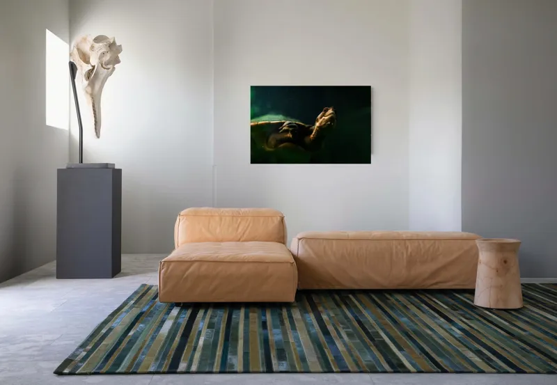 Tablou Canvas, "Broasca țestoasă în profunzimea apei", Tortură, Acvatic, Întuneric, Privire, Solitară, 90 x 50 cm – poza 8