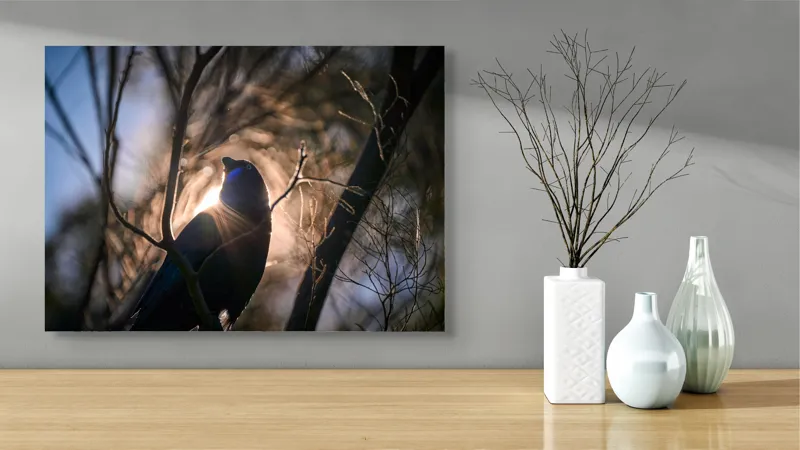 Tablou Canvas, "Pasărea și lumina dimineții pădurii", Mister, Siluetă, Ramuri, Lumină, Păsări, Natură, Aurore, Strălucire, Privire, Taină, 70 x 50 cm – poza 3