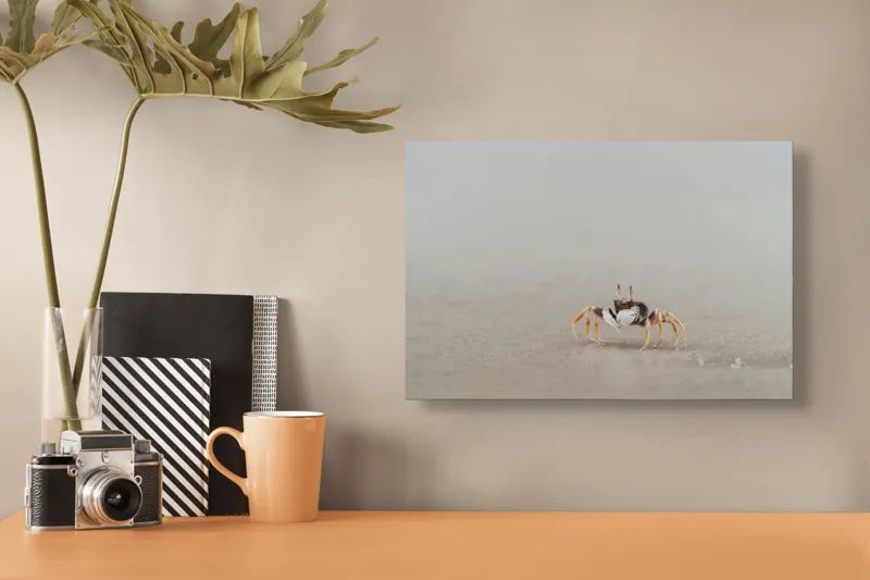 Tablou Canvas, "Mic explorator pe nisipul umed", Crab, Sand, Beach, Calm, Solitude, Reflection, Minimalism, Nature, Tranquility, Softness, 39 x 26 cm – poza 3